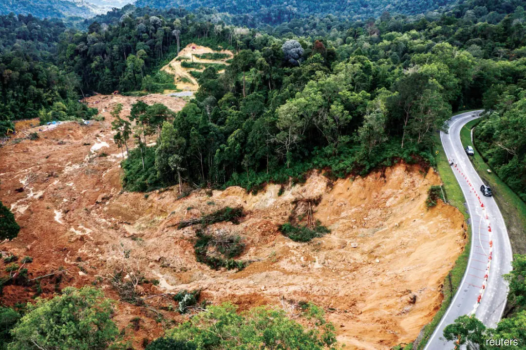 Views: Lessons from the Batang Kali landslide: Be humble to avoid destruction